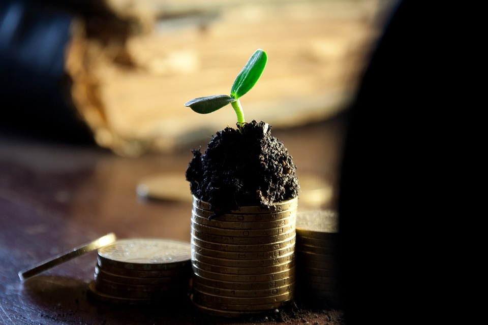 plant growing on a stack of coins and money